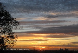 The sun sets behind Catalina Island, as seen from Victoria Vista Park.