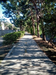 The path that leads from the Santa Ana River Trail to Sunflower Ave is tree-lined and nicely paved.