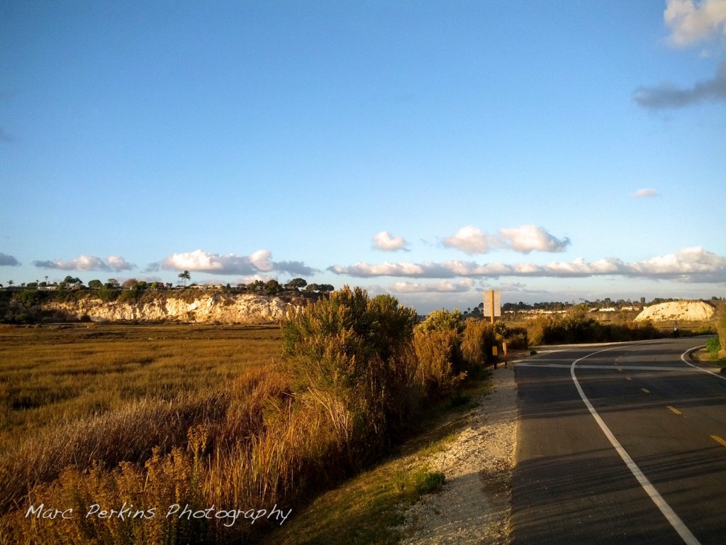 A view from the side of Back Bay Drive in Newport Beach showing the wetlands and bluffs.