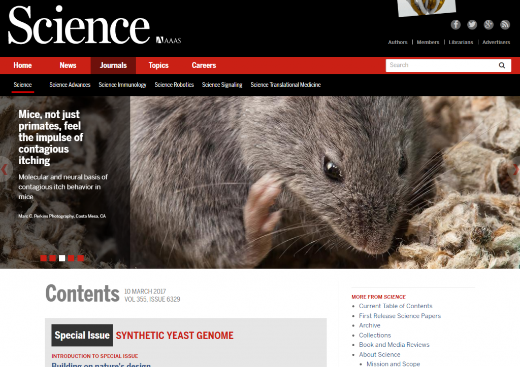 A mouse scratching its face on Science's website