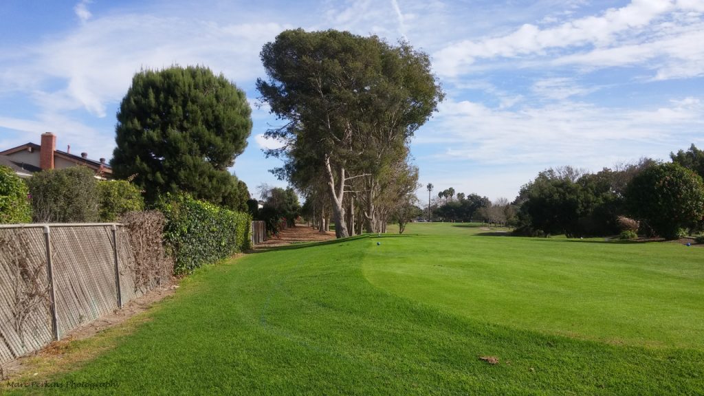 Proposed trail location on the north edge of the golf course.