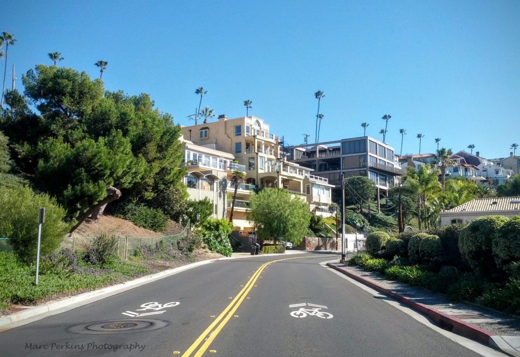 Sharrows on a pretty street.