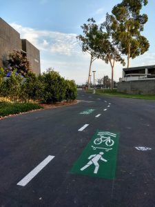 Bike lanes painted on a campus