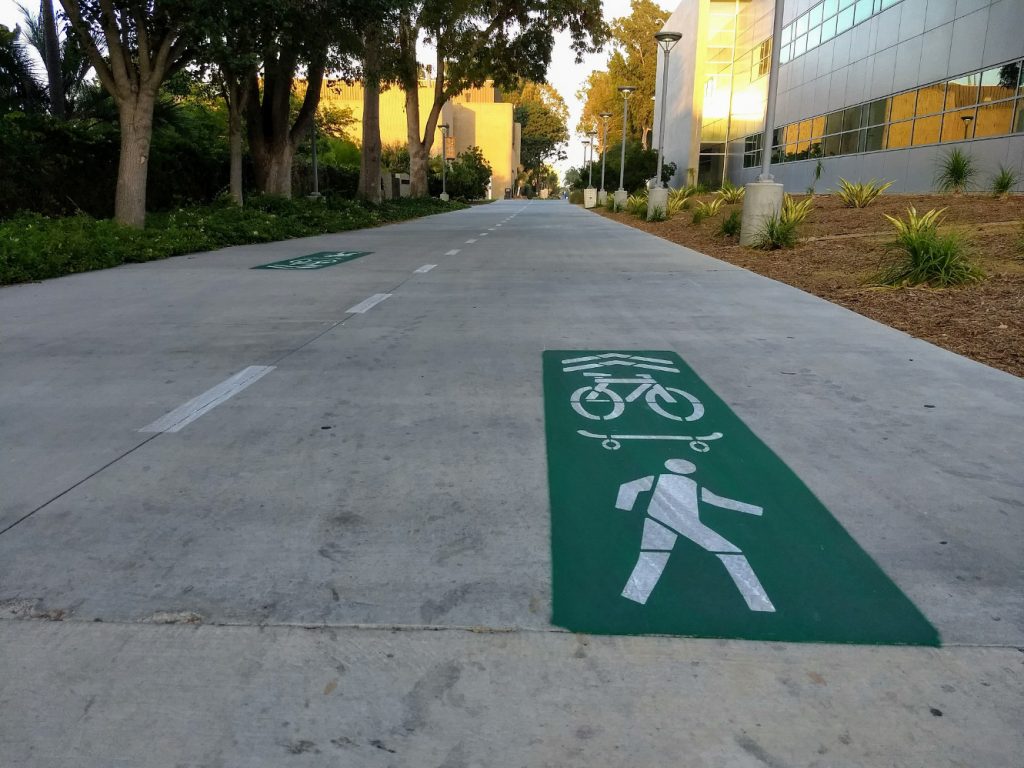 Bike path on campus